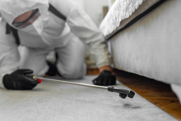Professional Termite Control technician working in Chadbourn, NC